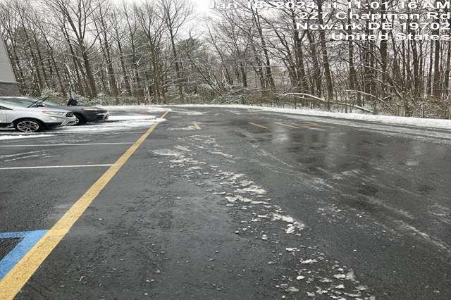 Landscaping Services